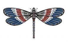 Totem Dragonfly