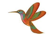 Hummingbird Cameo