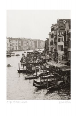 Array Of Boats Venice