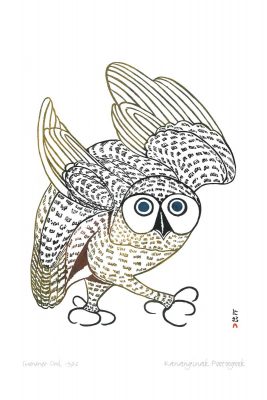 Summer Owl, 1972