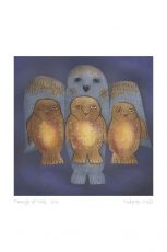 Family of Owls, 1996