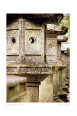 Stone Lanterns, Nikko